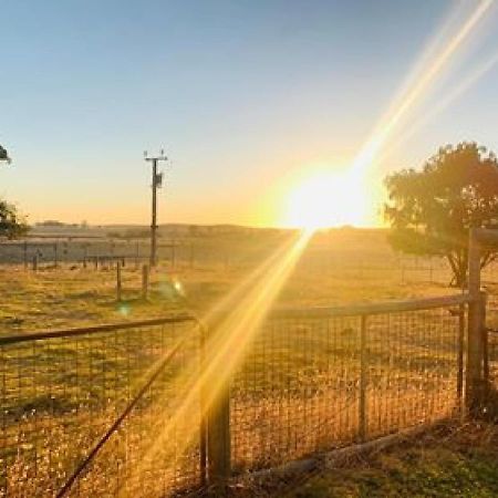 Pleasant Hill Bnb Mount Gambier Ngoại thất bức ảnh